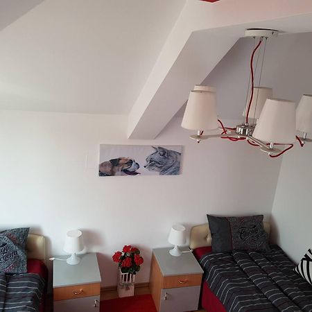 Lux Apartments With Pool Dex Zemun Polje Ruang foto
